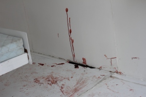 Blood on walls